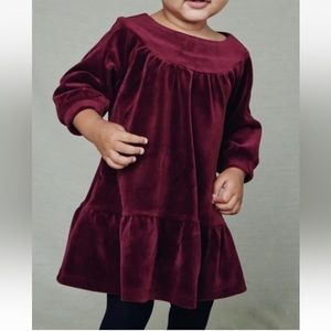 $60 NWT: Tea Collection Velour Ruffle Baby Dress Size 2T